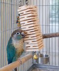 Green cheek conure interacting with Ultra Soft Balsa Wood Foraging Bird Toy With Canyon Groove Destructible Chew Safe Untreated Natural Wood
