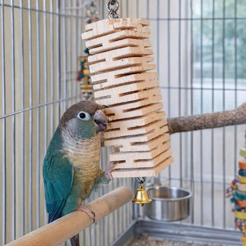 Green cheek conure interacting with Ultra Soft Balsa Wood Foraging Bird Toy With Canyon Groove Destructible Chew Safe Untreated Natural Wood