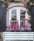 Window with black shutters and flower planter box with purple flowers and climbing roses on a stone facade.