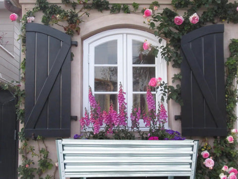 Window with black shutters and flower planter box with purple flowers and climbing roses on a stone facade.