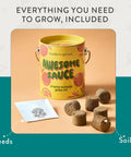 Front view of Colorful Grow Kit Set For Beginners Pack Of Four Seed Starter Kit With Organic Strawberry Tomato Sunflower And Cactus Seeds Gift For Plant Lovers Perfect For Dorm Rooms Apartments City Green Thumbs And Busy Home Growers showing cherry tomato can, soil pellets, and seed packet.