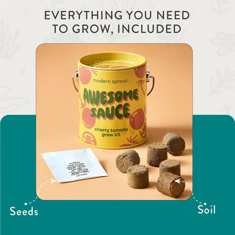Front view of Colorful Grow Kit Set For Beginners Pack Of Four Seed Starter Kit With Organic Strawberry Tomato Sunflower And Cactus Seeds Gift For Plant Lovers Perfect For Dorm Rooms Apartments City Green Thumbs And Busy Home Growers showing cherry tomato can, soil pellets, and seed packet.