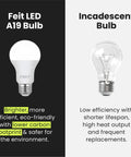 Comparison of Feit LED A19 Bulb and Incandescent Bulb highlighting brightness and eco-friendliness. A19 LED Light Bulbs 60W Equivalent Non Dimmable, 800 Lumens, E26 Base, Daylight 5000K, 80 CRI, Long Lasting, Energy Saving, 10 Year Lifetime, Light Up Your Home Everyday, 24 Pack.