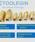 Heavy Duty One Quarter Inch Air Hose Fittings Kit With Storage Case 36 Piece Quick Connect Accessory Pro Grade Set, solid brass components