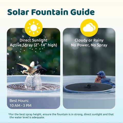 Solar Powered Bird Bath Camera With Dual Lens For Wild Bird Watching Real Time Views And Auto Video Capture Motion Detection Alerts Fountain Fun Sturdy Stand AI Lifetime image showing a hummingbird at the fountain during direct sunlight and a bluebird in cloudy weather.