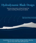 Freediving Fins With Full Foot Design For Secure, Comfortable Fit, Non Vented Blade Delivers Beefed Up Propulsion For Efficient Underwater Movement, Clear Finish For Snorkeling And Spearfishing, Size 39 To 40 shown with hydrodynamic design.