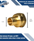 10 Piece PEX To 1-Inch Female NPT Brass Crimp Adapters Set Lead Free NSF Certified Full Port For Potable Water And Hydronic Heating