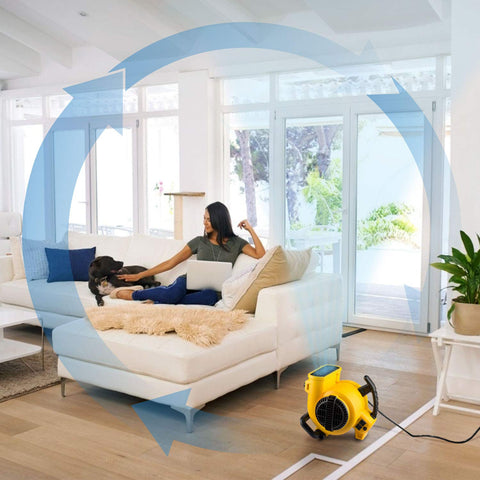 Beast Mode Heavy Duty Portable Air Mover 600 CFM One Fifth HP Motor And 3 Speeds in a living room for air circulation