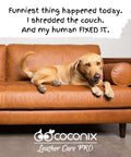 Dog lying on repaired leather couch using Leather And Vinyl Repair Kit DIY Friendly For Home And Car Seats And Jackets Fix Tears Holes Scratches And Peeling With Easy Application And Custom Color Matching