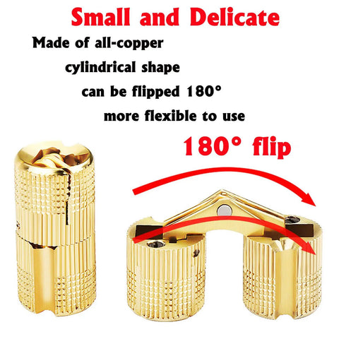 Hidden Cylinder Hinges Set With Magnets, brass hinge showing 180-degree flip capability, labeled 'small and delicate.'