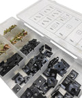 170 Piece Car Screw And U Clip Kit Durable Metal Fasteners in compartmentalized storage box for dash panels, interior, engine work