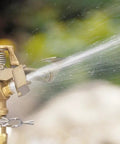 Two Pack Half Inch BRS Sprinkler Head Connection Fitting Tailored For Impact Heads With Anti Backsplash Valve spraying water in garden.