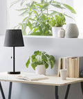 Modern Black Bedside Lamps Two Pack for Bedroom and Living Room With Pull Chain Switch on a desk by window
