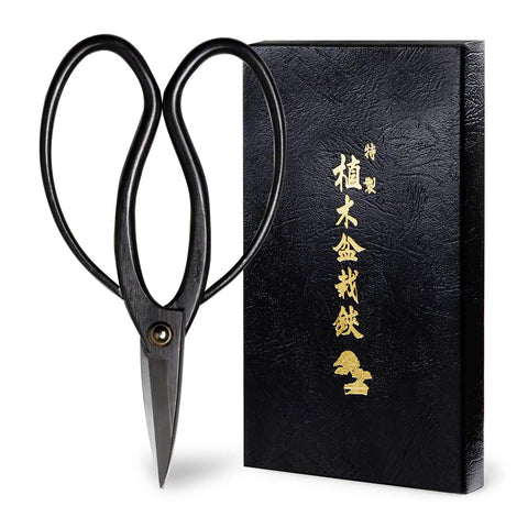 7 Inch Japanese Bonsai Scissors For Precision Pruning Of Mini Trees Hasami Pruning Shears Made In Japan Real Hand Forged S58C Steel