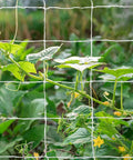Heavy Duty Polyester Plant Trellis Netting 5 Ft By 15 Ft With 6 Inch Mesh Workhorse For Vines Veggies Fruits And Flowers