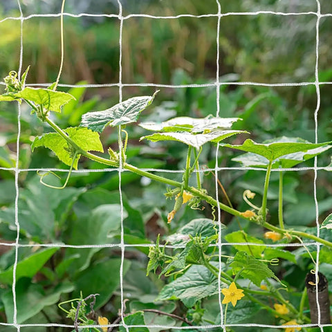 Heavy Duty Polyester Plant Trellis Netting 5 Ft By 15 Ft With 6 Inch Mesh Workhorse For Vines Veggies Fruits And Flowers