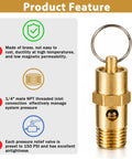 Quarter Inch NPT 200 PSI Brass Air Compressor Pressure Relief Valve Safety Check Valve Vent For Air Systems And Boiler