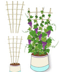 3 Pack 4 Foot Bamboo Trellis Fan Shaped Plant Support For Outdoor And Indoor Potted Climbing Plants Vegetables Tomatoes Cucumbers