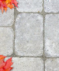 Water Based Stone Enhancer And Sealant For Marble Granite Limestone on grey pavers decorated with orange maple leaves.