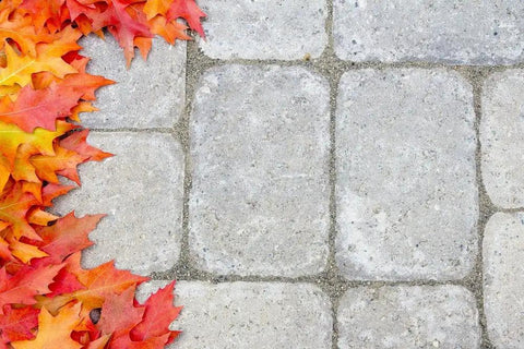 Water Based Stone Enhancer And Sealant For Marble Granite Limestone on grey pavers decorated with orange maple leaves.