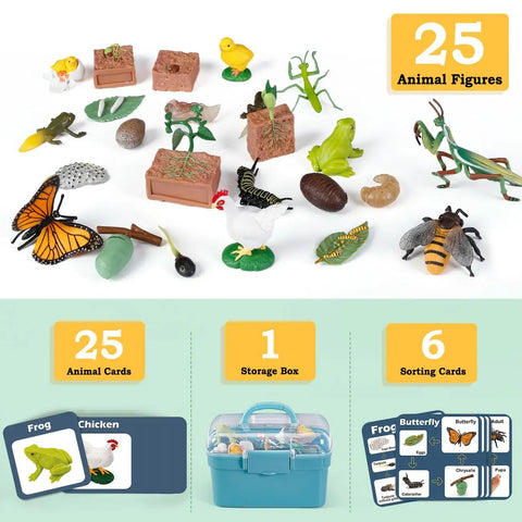 Life Cycle Science Toys For Kids Set With Butterfly Frog Chicken Mantis Bee And Plants 25 Animal Figurines and Guide Cards