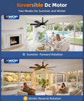 28 Inch Socket Ceiling Fan Light With Remote Control installed in living room for summer and winter modes