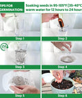 Six-step guide for germinating seeds using warm water, showing soaking and setting up for Over 20,000 Lettuce Seeds Pack With 10 Fresh Varieties For Indoor Or Outdoor Growing No Fuss Easy Grow For Beginners Great For Hydroponics Kit Non GMO Lettuce Mix For Crisp Salads Sandwiches And Wraps.