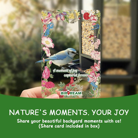 Hand holding a floral card with bird and seed image against a bird feeder backdrop.
