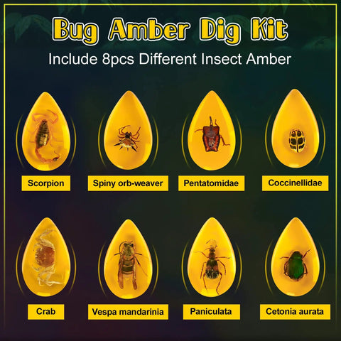 Amber Dig Kit For Kids Hands On Excavation With 8 Insect Specimens Learn Geology And Biology Through STEM Fun Great Educational Gift For Ages 6 8 12 14 And Party Favors. eight resin amber blocks
