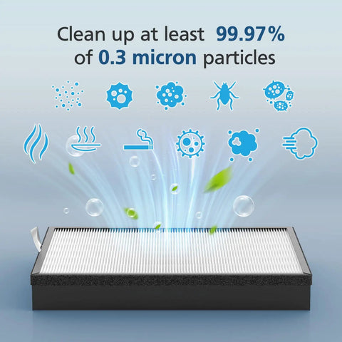 Two Pack EverestAir Replacement Filters For EverestAir And EverestAir P Purifiers, filter cleaning 0.3 micron particles