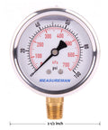 MeasureMan front-view 2.5-in glycerin-filled pressure gauge with 1/4 NPT brass thread and stainless case (0-100 psi).