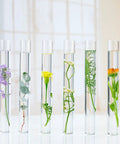 Six clear test tubes with flowers and plants inside, demonstrating use for 120 Pcs Plastic Test Tubes With Rack 16 By 100Mm Tubes With Caps 60 Hole Rack All In One For Scientific Experiments Candy Beads Liquids Spices Seeds And Party Decorations Storage Kit.