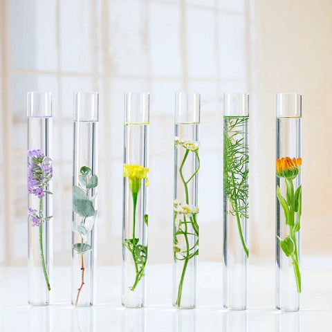 Six clear test tubes with flowers and plants inside, demonstrating use for 120 Pcs Plastic Test Tubes With Rack 16 By 100Mm Tubes With Caps 60 Hole Rack All In One For Scientific Experiments Candy Beads Liquids Spices Seeds And Party Decorations Storage Kit.