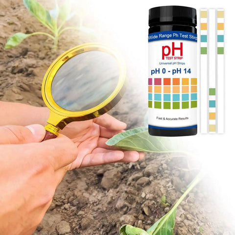 Easy Read pH Test Strips For Urine, Saliva, And Water 0 To 14 Universal Plastic Strips next to magnifying glass on plants
