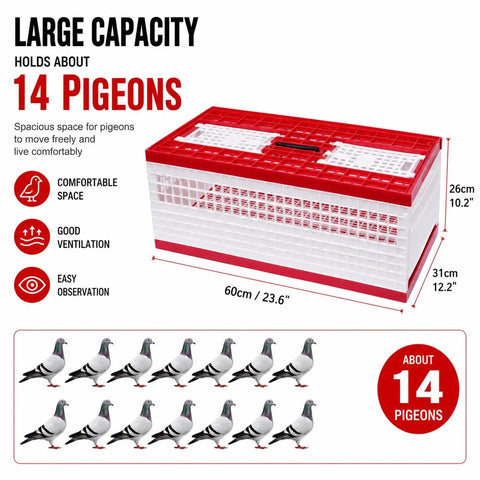 Racing Pigeon Carrier Box Folding Pigeon Training Cage 23.62 Inch Ventilated Plastic Carrier Holds About 14 Birds, red and white.