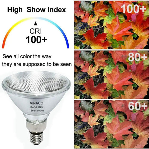 Straight Up Brightest Par38 Halogen Flood Light Bulbs 80W 120V 2800K Warm White Indoor Outdoor High Output Illumination For Kitchen Living Room No Sweat Setup Long Haul Workhorse