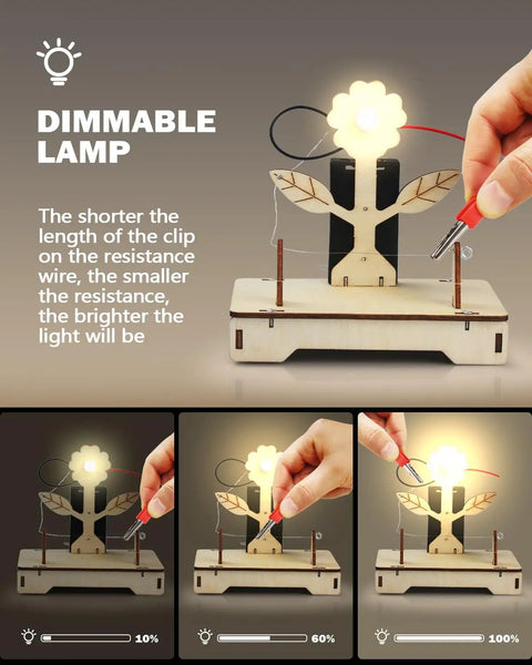 Dimmable lamp project from Six In One STEM Toys Kit For Kids Aged Eight To Twelve With 3D Wooden Puzzles And Educational Science Projects Building Model Kits Gift For Boys And Girls.