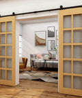 Bypass Sliding Barn Door Rail Hardware Kit, Heavy Duty Carbon Steel Tracks, Double Door System installed in living room