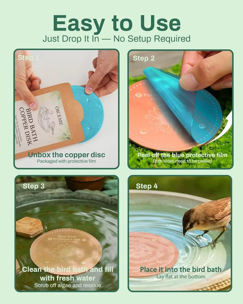 Steps for using Pure Copper Bird Bath Purification Disk For Outdoor Winter Solar Power Water Fountain No Chemicals No Rust Bird Health Boost Hummingbird Bee Bath Window Feeder Stand Nectar Pole Hanging Birdhouse Accessories