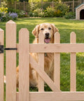 Heavy Duty Self Locking Gate Latch Featuring Automatic Gravity Lever For Wood Fence shown with a golden retriever in backyard.