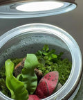 Recessed Light - 5V RGB LED Ultra Thin Lamp, Indoor Outdoor Decoration illuminating a terrarium with tropical plants.