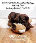 A dog lying on a wooden floor with a chew toy, text about the All-In-One Floor and Furniture Repair Kit for Scratches, Dents, and Scuffs on Hardwood.