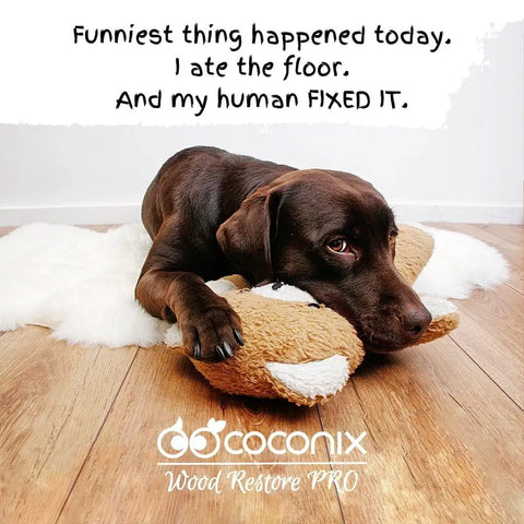 A dog lying on a wooden floor with a chew toy, text about the All-In-One Floor and Furniture Repair Kit for Scratches, Dents, and Scuffs on Hardwood.