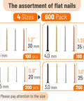 Pro Level Steel Nail Assortment Pack With 600 Pieces Across Four Different Sizes, black, gold, silver, copper nails in varying lengths.