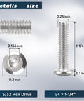 Measurements of 1/4-20 Furniture Connector Bolts And Barrel Nuts Kit With Hex Key, 1-1/4 inch length, stainless steel.