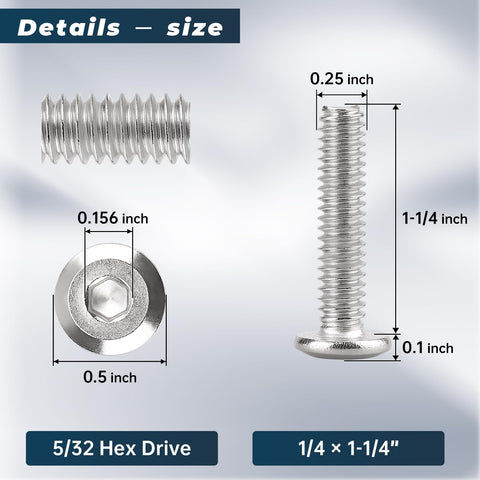 Measurements of 1/4-20 Furniture Connector Bolts And Barrel Nuts Kit With Hex Key, 1-1/4 inch length, stainless steel.