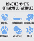 Infographic showing Powerful 1000 CFM Portable HEPA Air Scrubber removes bacteria, smoke, dust, dander, mold, pollen