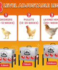 Built Tough 10 Gallon Metal Automatic Chicken Feeder With Eight Wide Ports And A Clear Acrylic Sight Window for different growth stages
