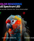 Comparison of full spectrum LED color rendering with a parrot showing color accurate and distortion-free lighting effects.