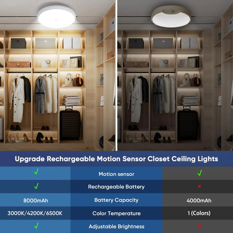 Flush Mount RGB Ceiling Light 12 Inch 24W with Remote and Bluetooth App Control installed in a modern closet space.